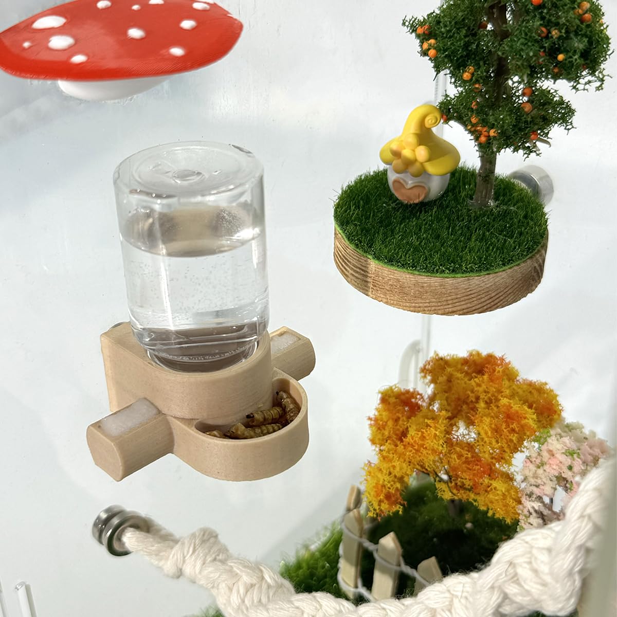 Julang comparaison taille avec pièce montre compacité adaptée aux micro-terrariums