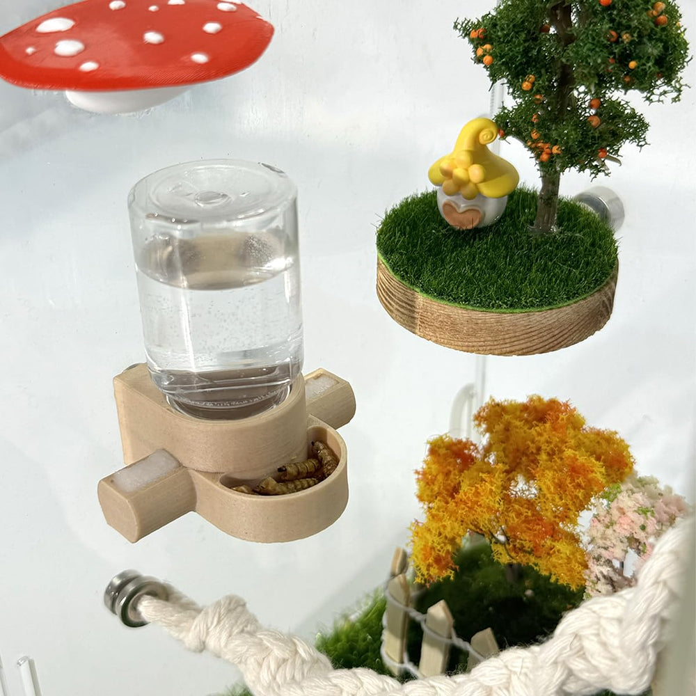 Julang comparaison taille avec pièce montre compacité adaptée aux micro-terrariums