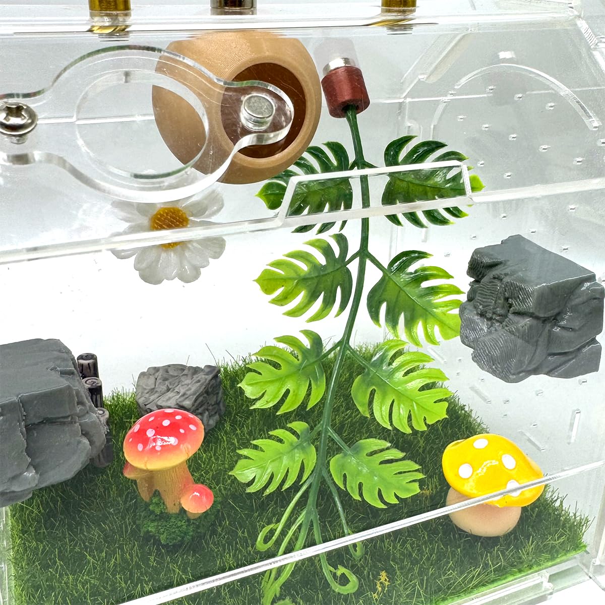 Julang en terrarium en usage stimulant l'exploration et l'activité