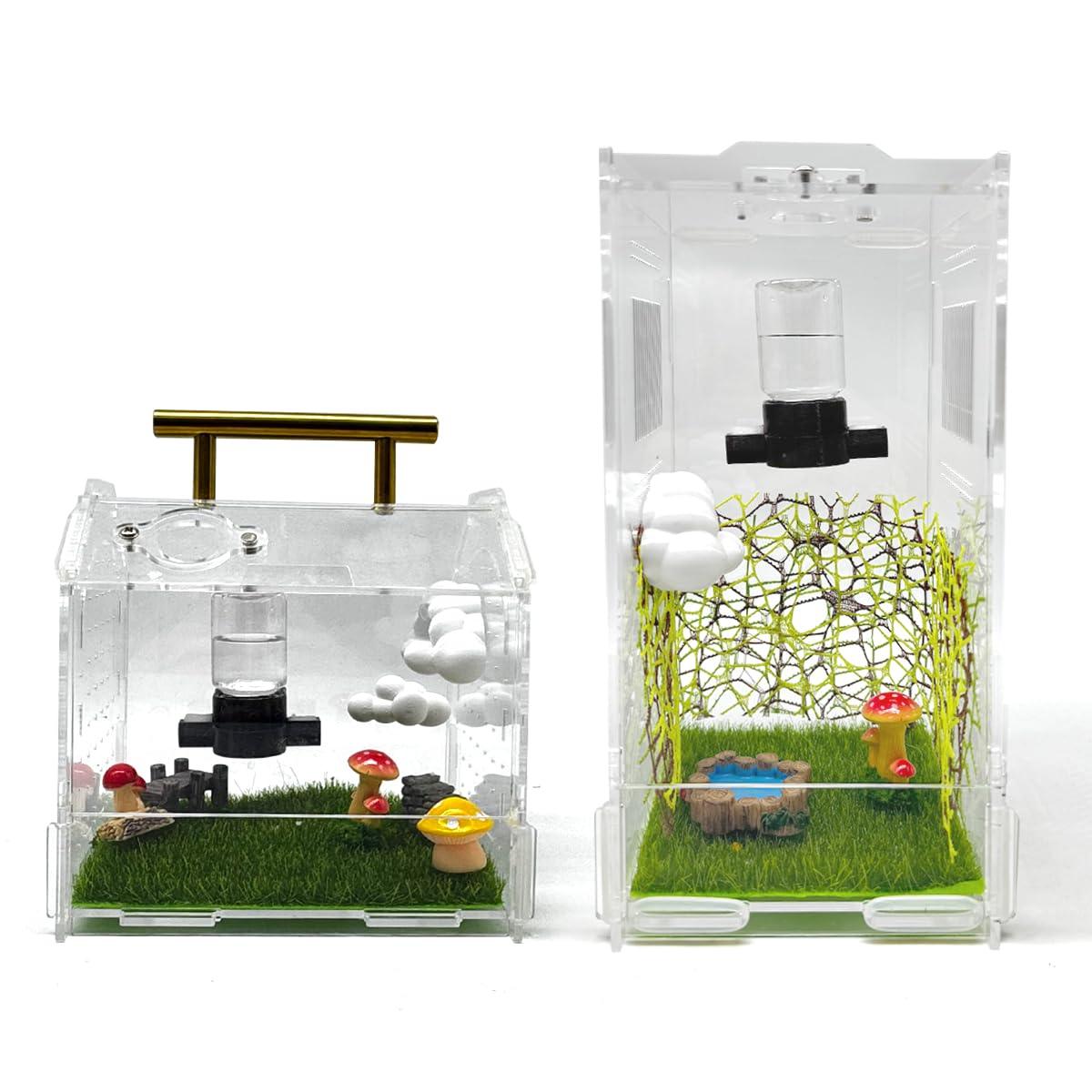Abreuvoir Julang dans terrarium illustrant confort hydrique pour arthropodes