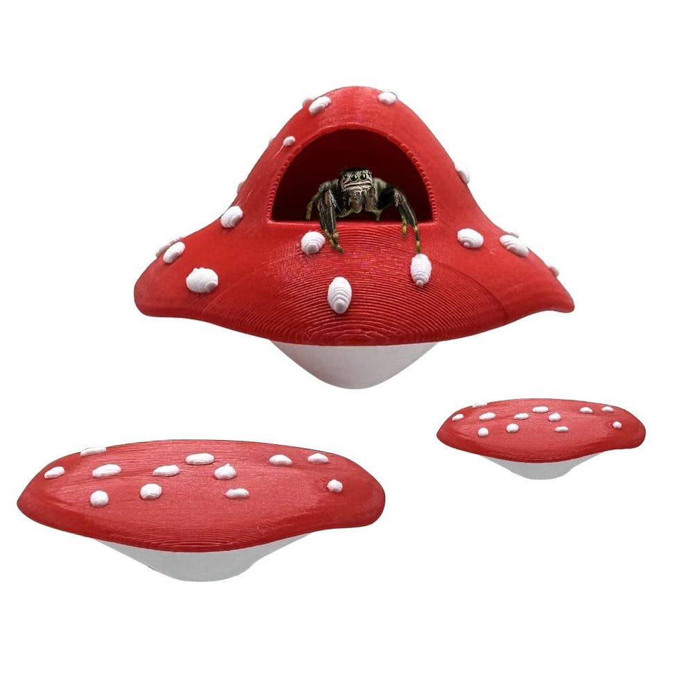 Julang plateforme champignon face avant montrant design et attraction visuelle