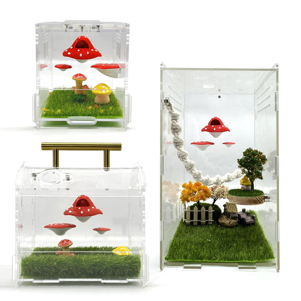 Julang ambiance décorative « conte de fées » améliorant l'esthétique du box