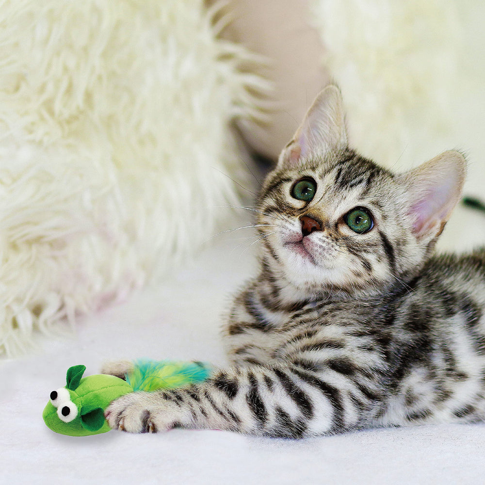Jumpaws ouverture montrant le grelot et la garniture d'herbe à chat naturelle