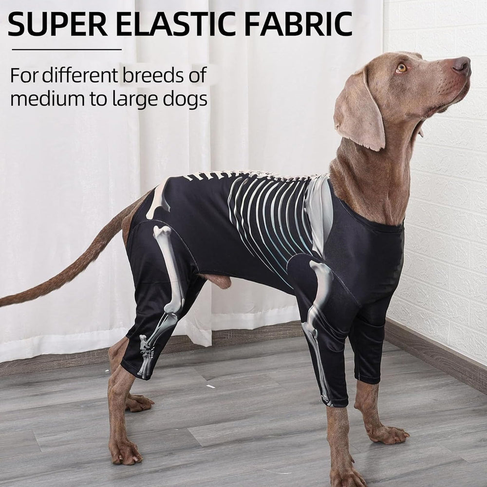 Junchl démonstration taille sur chien, guide visuel pour choisir la bonne taille