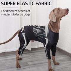 Junchl démonstration taille sur chien, guide visuel pour choisir la bonne taille