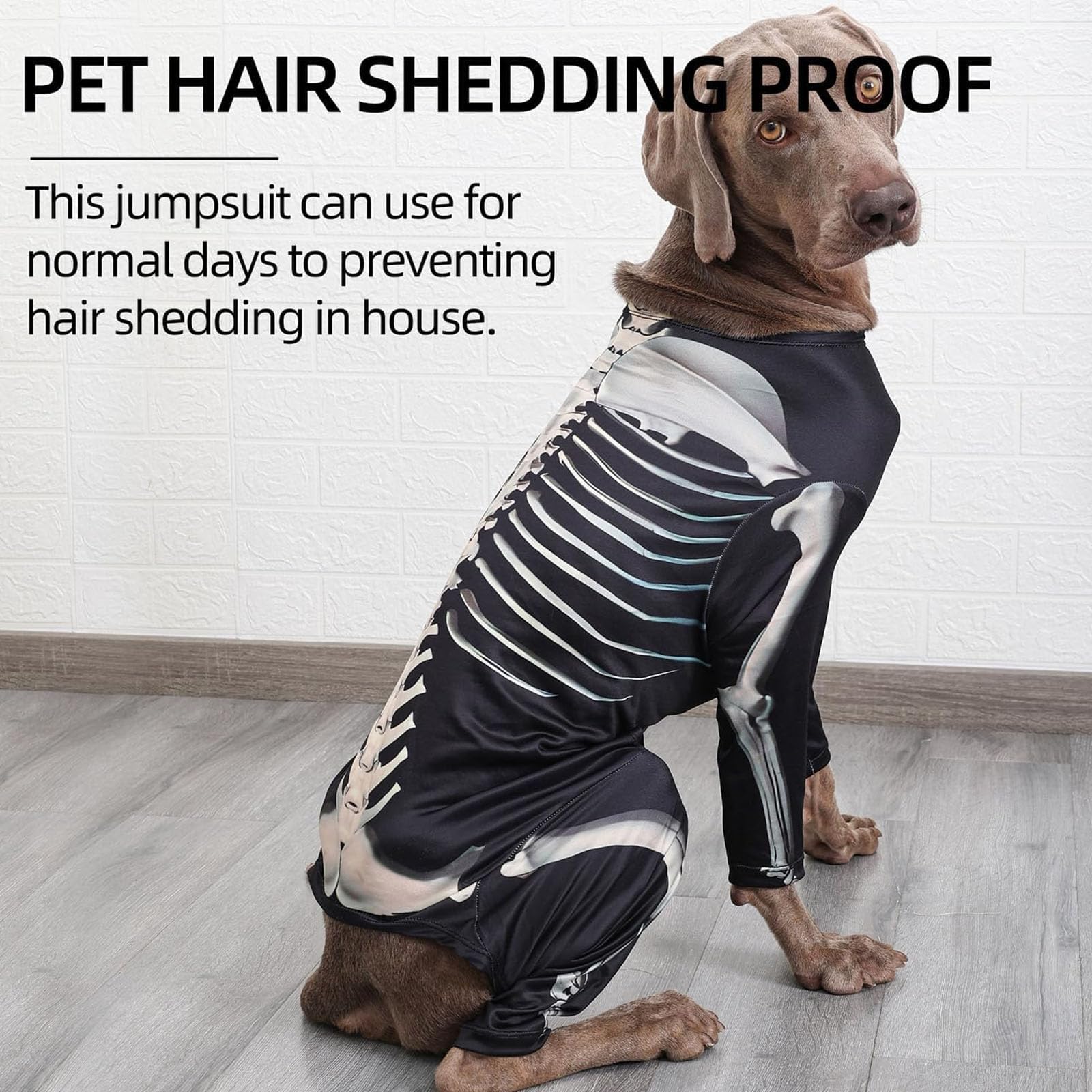 Junchl chien portant le costume en extérieur, look Halloween attractif et fun
