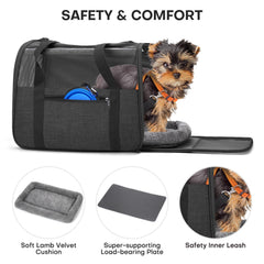 JUNGYOUN petit chien installé dans le sac illustrant calme et sécurité en déplacement