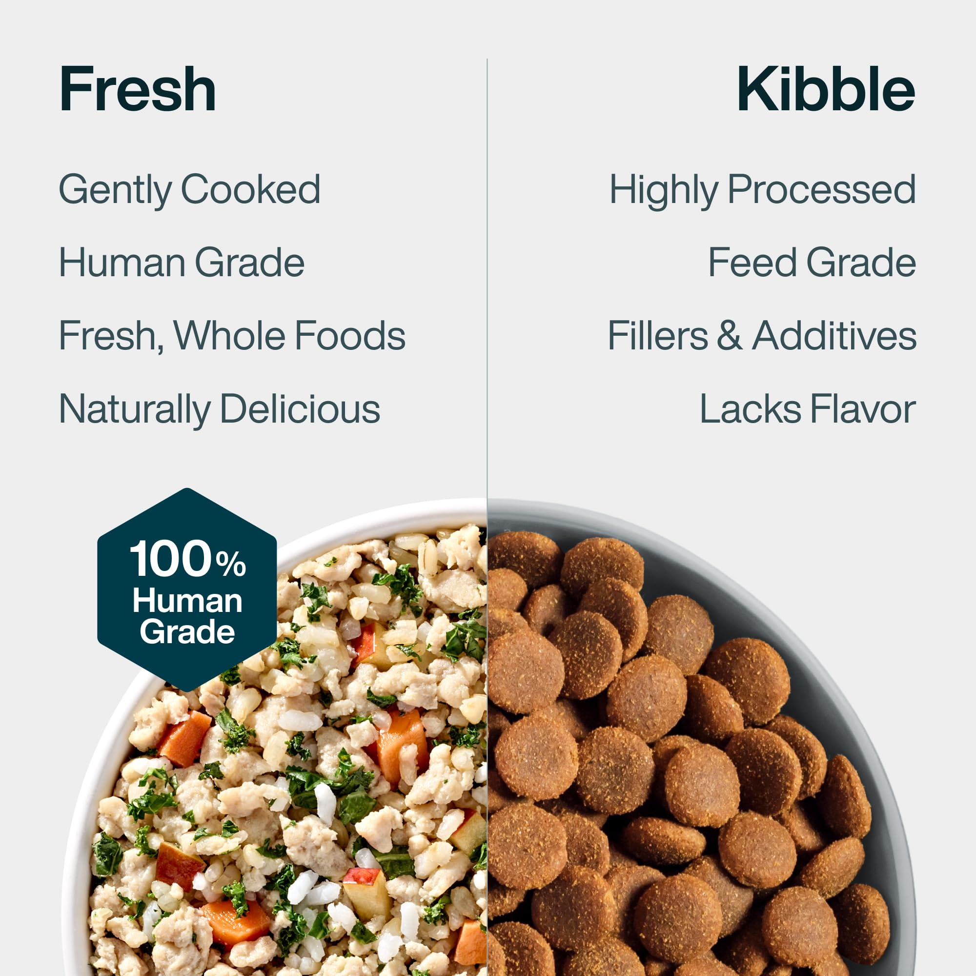 JustFoodForDogs service dans assiette pour chien, appétence améliorée