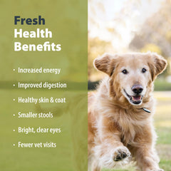 JustFoodForDogs boîte ouverte révélant portion prête à servir bénéfice fraîcheur prête à l'emploi
