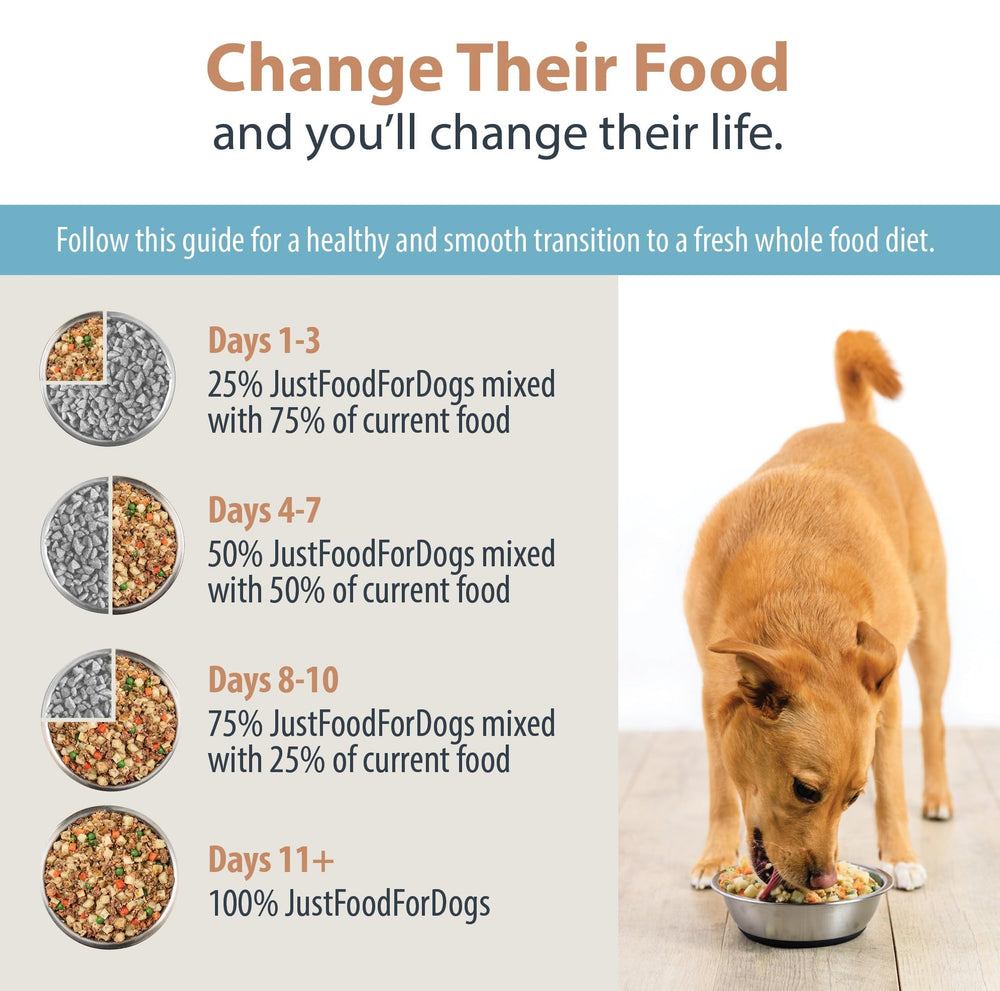 JustFoodForDogs chiot mangeant le topper, meilleur appétit et hydratation