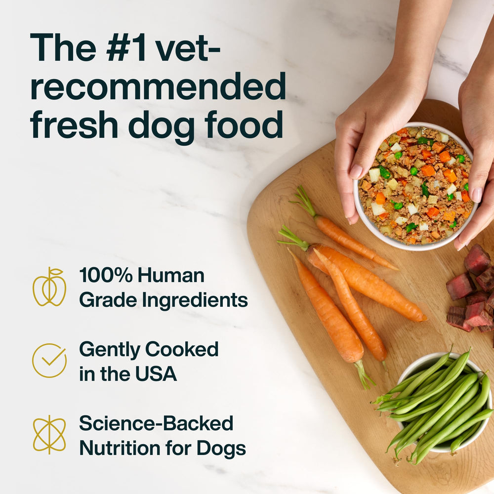 JustFoodForDogs gros plan bœuf montrant texture et bénéfice digestibilité améliorée