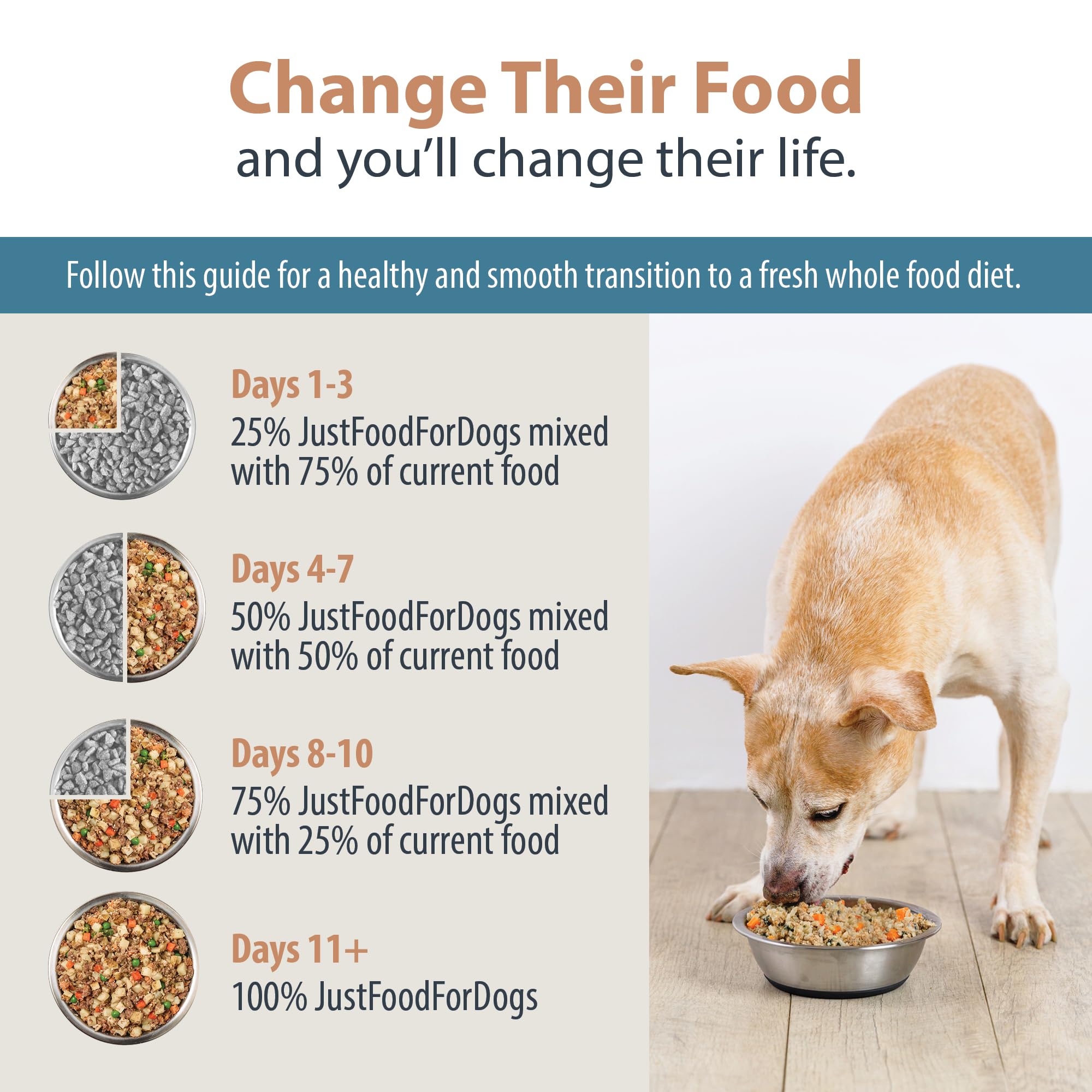 JustFoodForDogs comparaison avec ingrédients frais montrant transparence et bénéfice contrôle