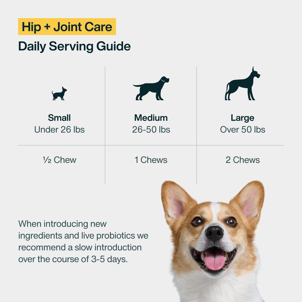 JustFoodForDogs comparaison de taille montrant boîte de 45 unités pour dosage
