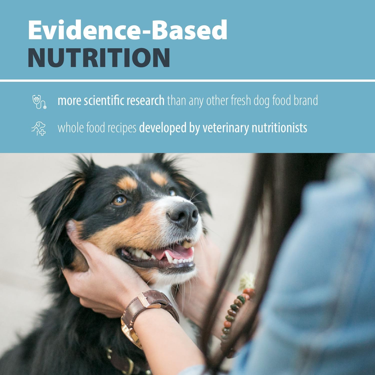 JustFoodForDogs comparaison de taille avec une main, portion compacte et nomade
