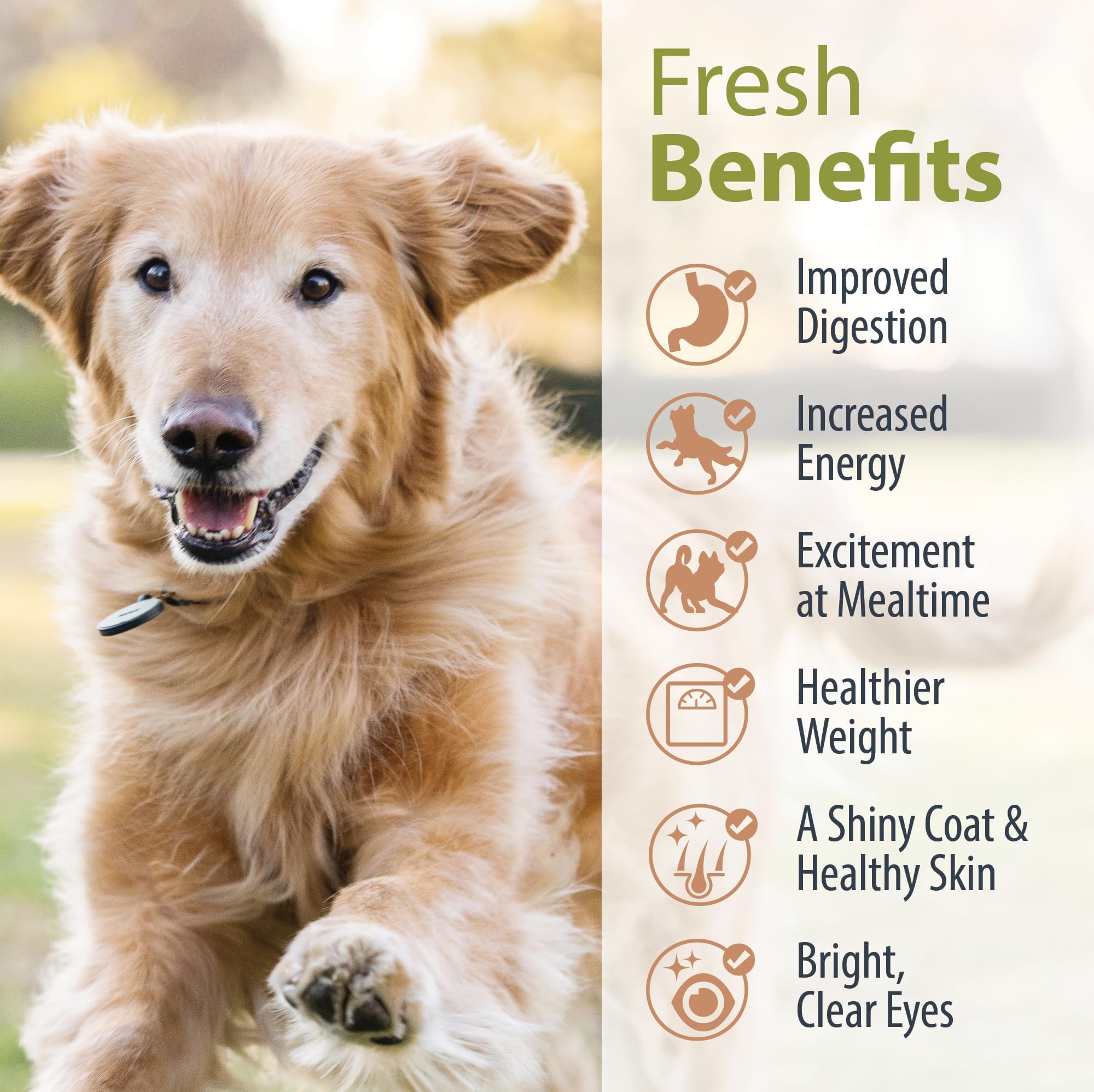 JustFoodForDogs comparaison de taille à la main pour doser facilement