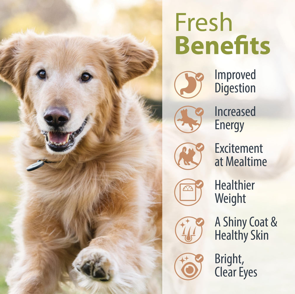 JustFoodForDogs comparaison de taille à la main pour doser facilement