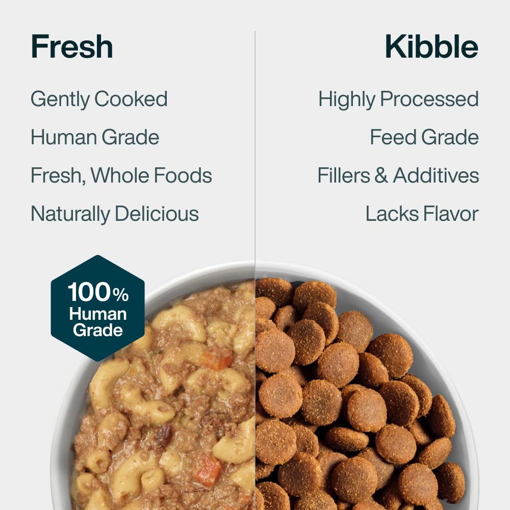 JustFoodForDogs comparaison taille boîte, visualise le volume par portion
