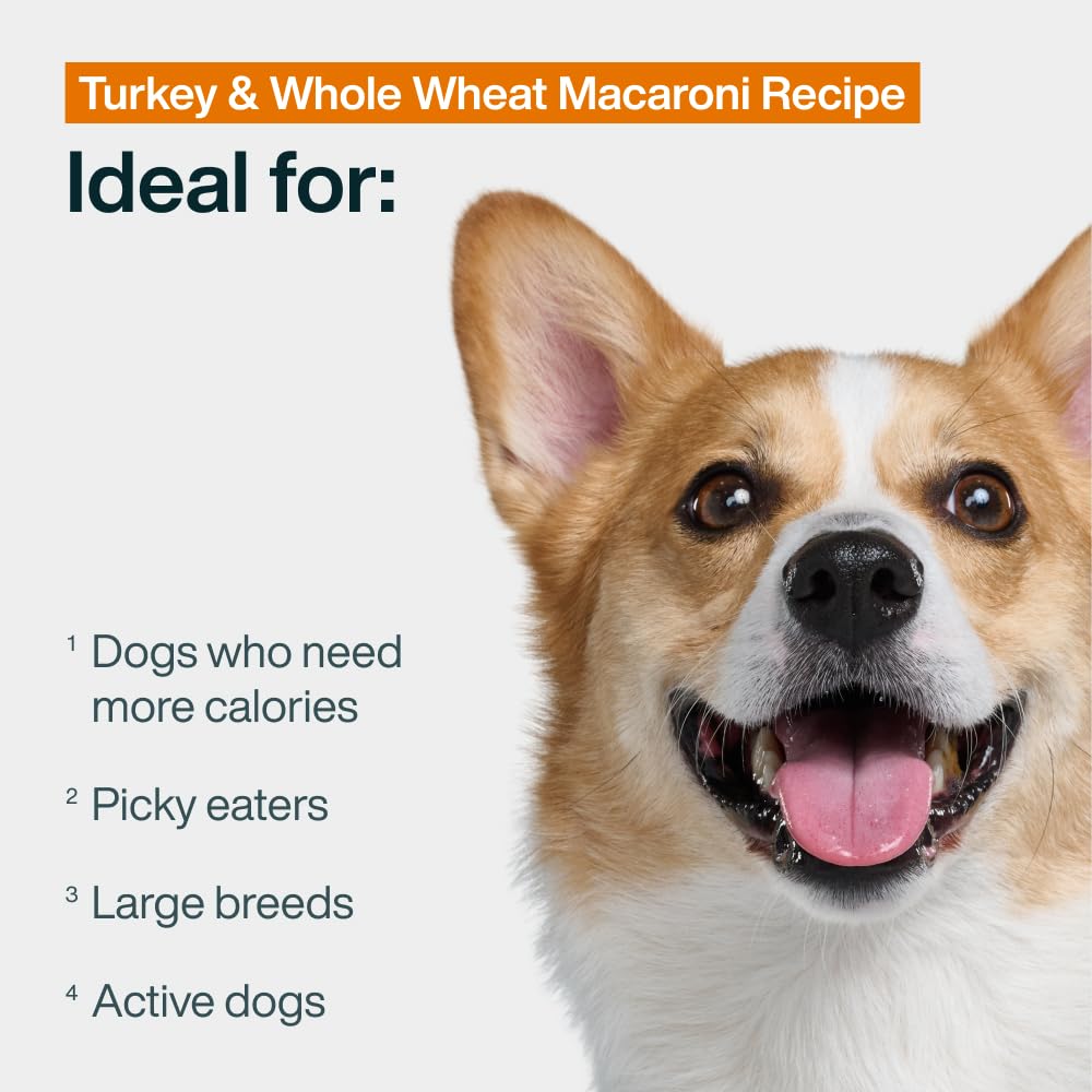 JustFoodForDogs portion servie dans un bol, pratique pour portionner facilement