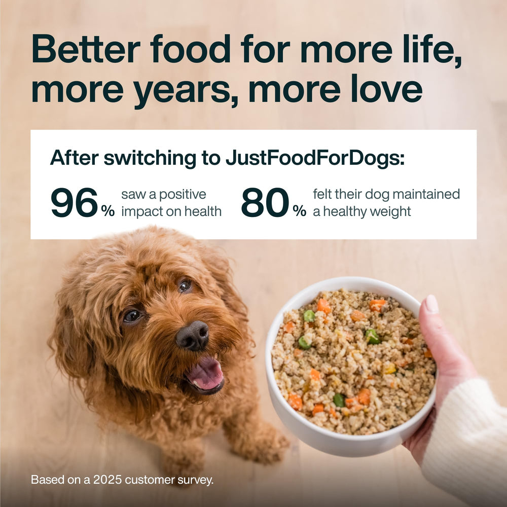 JustFoodForDogs boîte dans sac de voyage, idéal pour sorties et déplacements