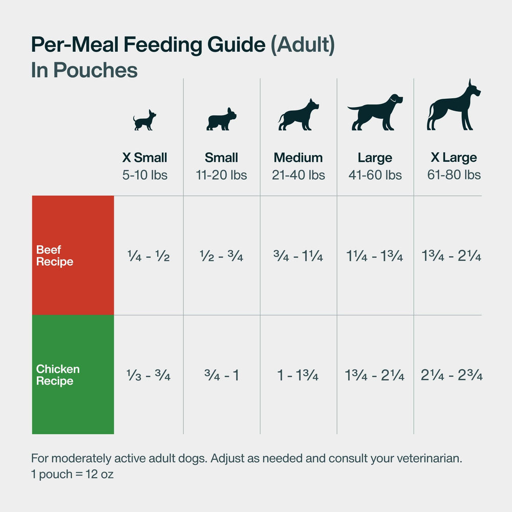 JustFoodForDogs bol préparé pour chiot favorise croissance saine