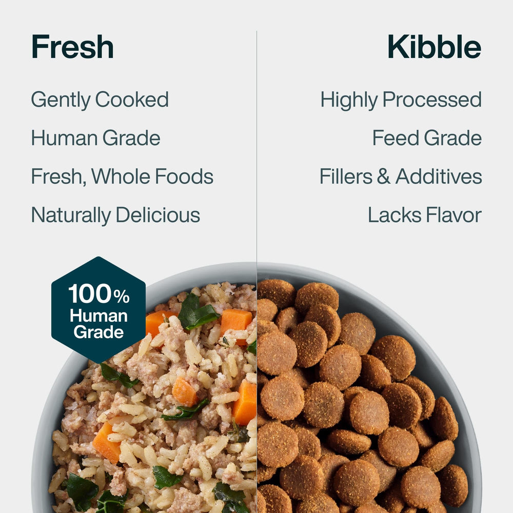 JustFoodForDogs chien qui mange en intérieur confort et satiété