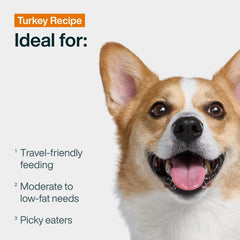 JustFoodForDogs gros plan dinde riche en protéines bénéfice qualité