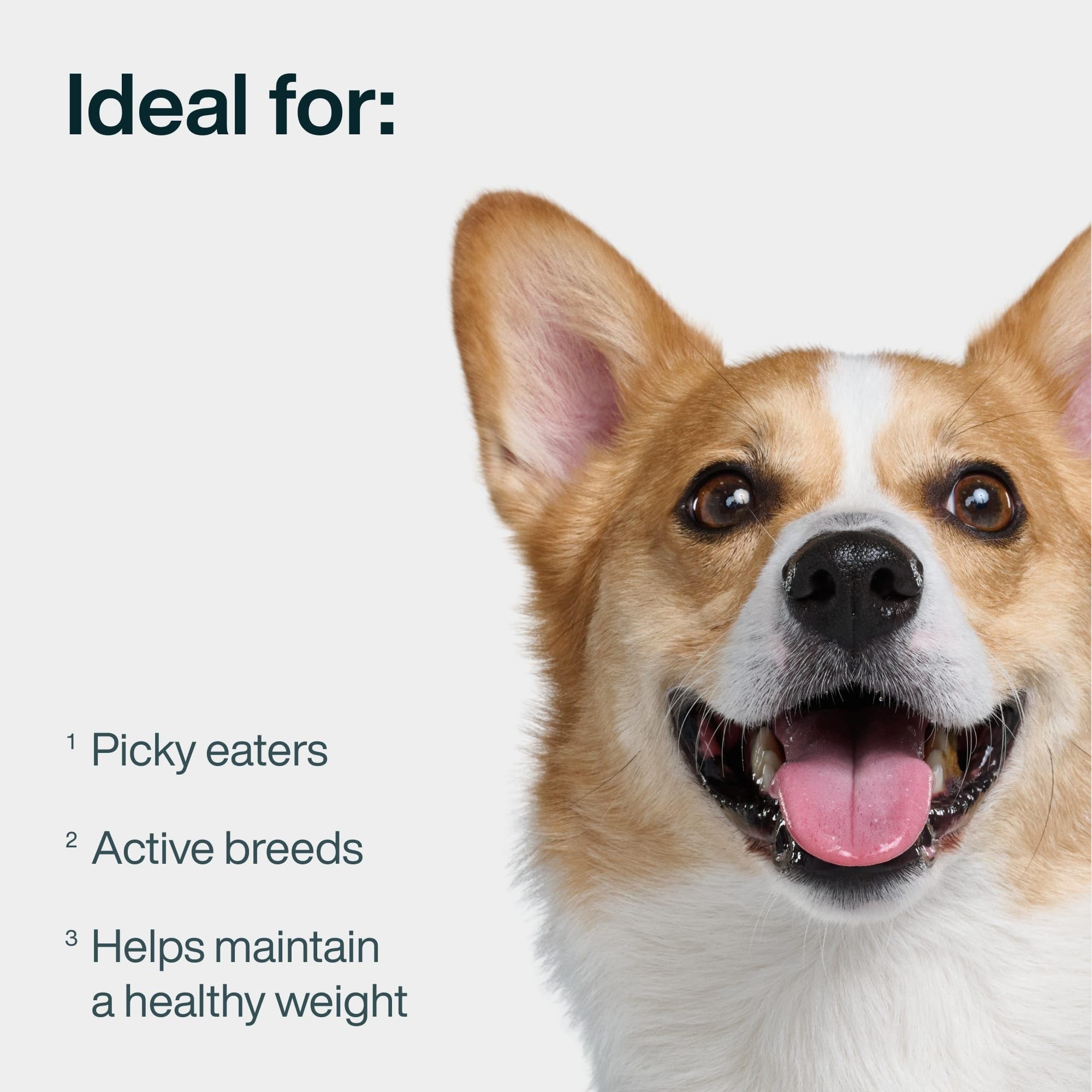 JustFoodForDogs gros plan texture nourrissante et digestion facilitée