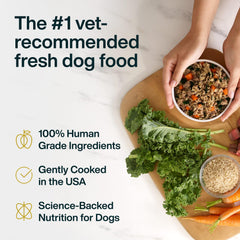 JustFoodForDogs sachet ouvert prêt à servir appétence améliorée
