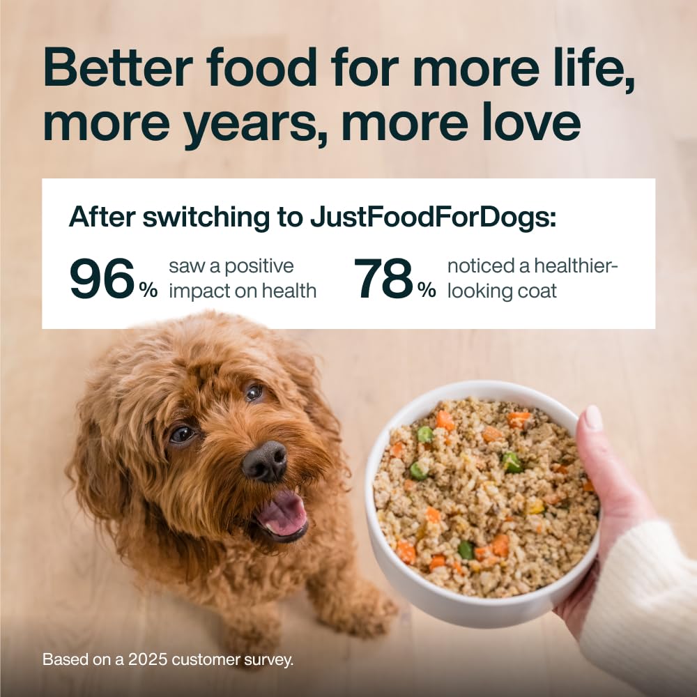 JustFoodForDogs brique ouverte montrant contenu, bénéfice conservation intacte