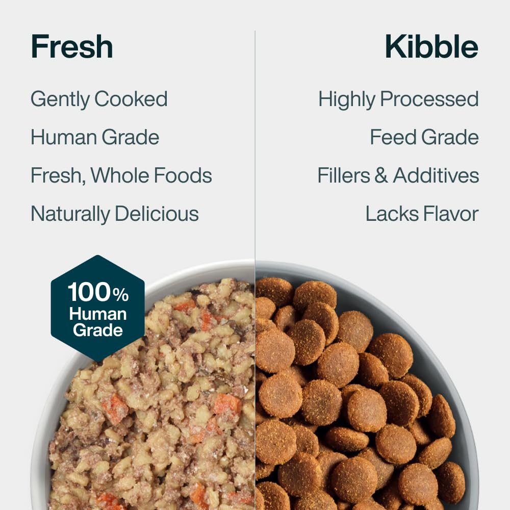 JustFoodForDogs pack de douze boîtes empilées pour stockage compact et voyage