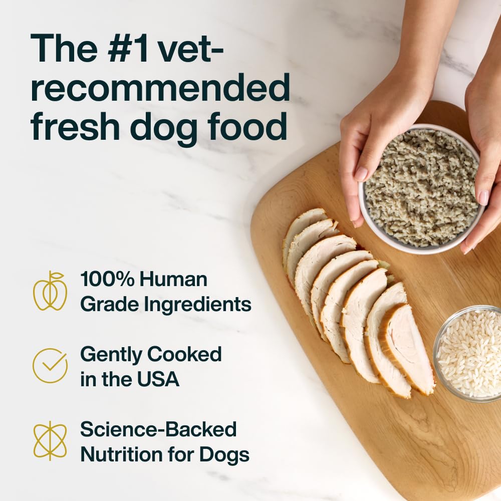 JustFoodForDogs détail du Tetra Pak, emballage sans conservateurs pour voyage