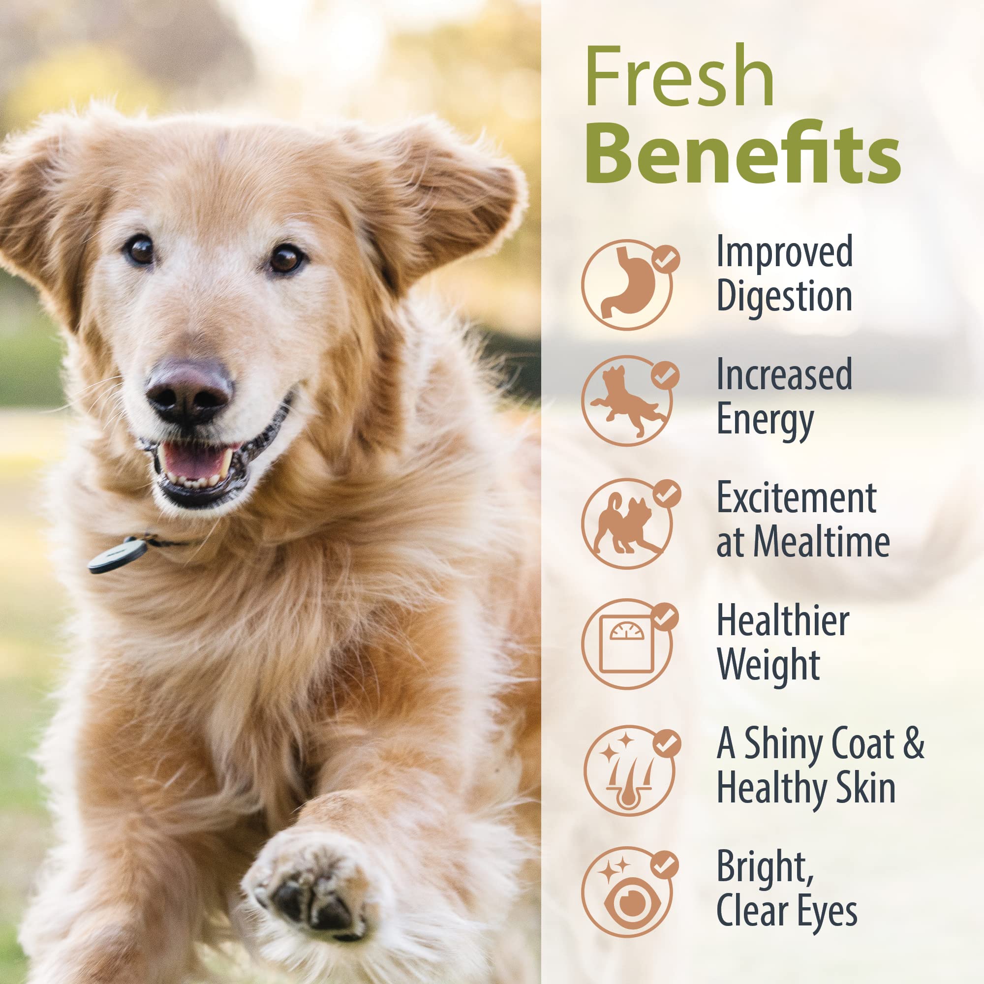 JustFoodForDogs portionnement sur balance montrant contrôle et bénéfice portions exactes