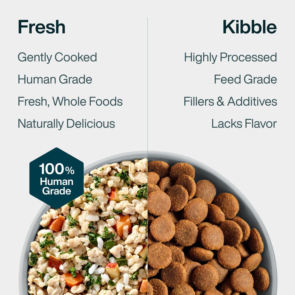 JustFoodForDogs portions ouvertes sur assiette montrant présentation facile à servir
