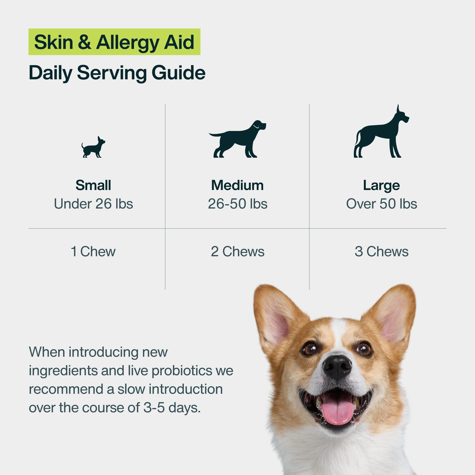JustFoodForDogs chien au pelage brillant après usage soutien cutané