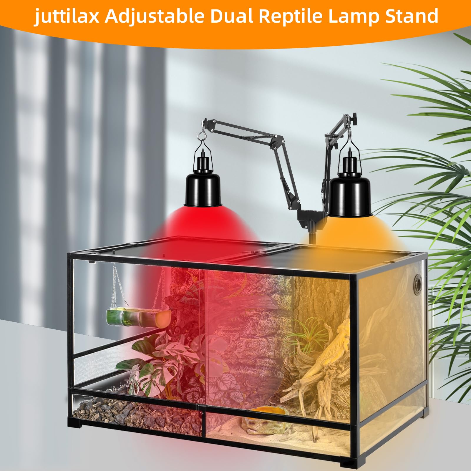 juttilax support en situation dans un terrarium montrant zones chaudes et lumière