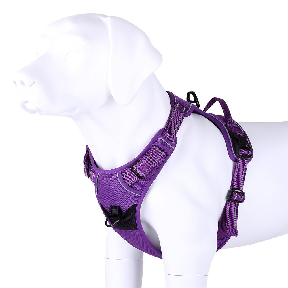 juxzh harnais chien en promenade montrant ajustement et liberté