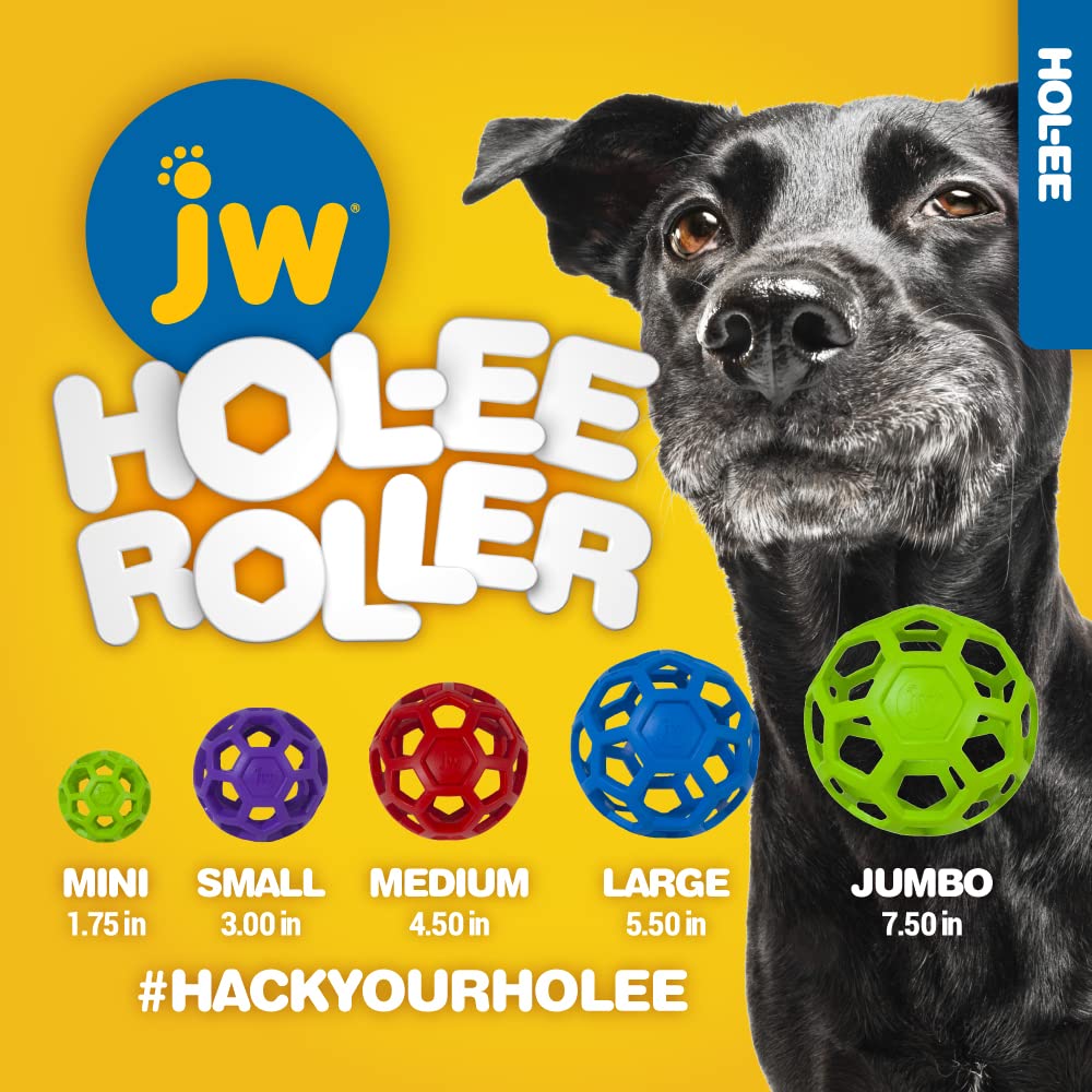 Chien jouant avec JW Hol-ee Roller pour exercice et divertissement actif