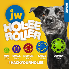 Chien jouant avec JW Hol-ee Roller en extérieur, divertissement actif
