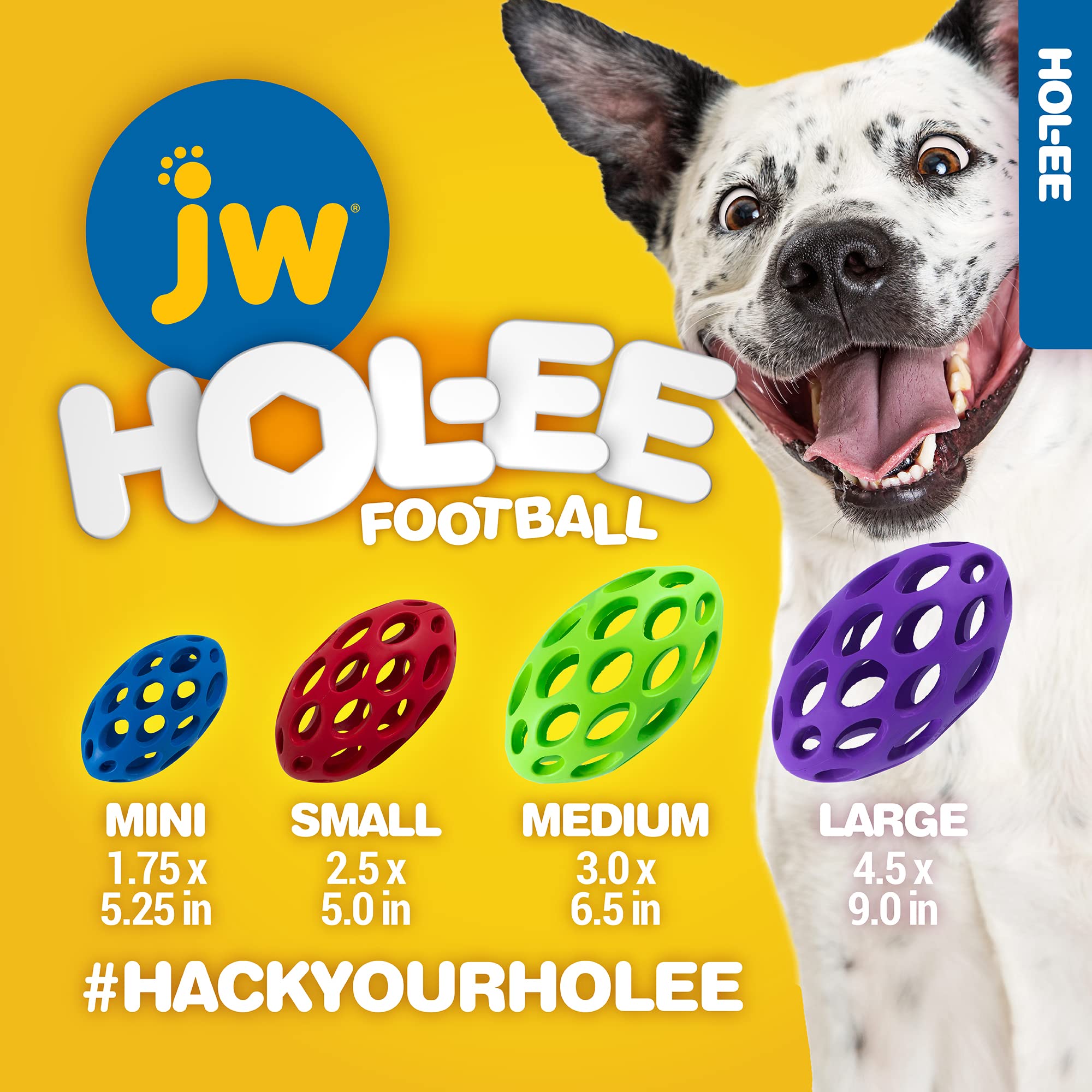 Chien jouant avec JW Hol-ee Football rebond irrégulier pour plus d’action