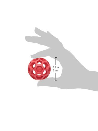 JW Mini Hol-ee Roller en jeu avec chien, stimule activité et rapport