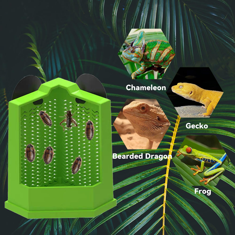 Jwizyotr détail du rebord concave sécurisé empêchant l'animal de se coincer