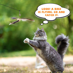 JXFUKAL chaton qui saute pour la baguette, encourage exercice et agilité