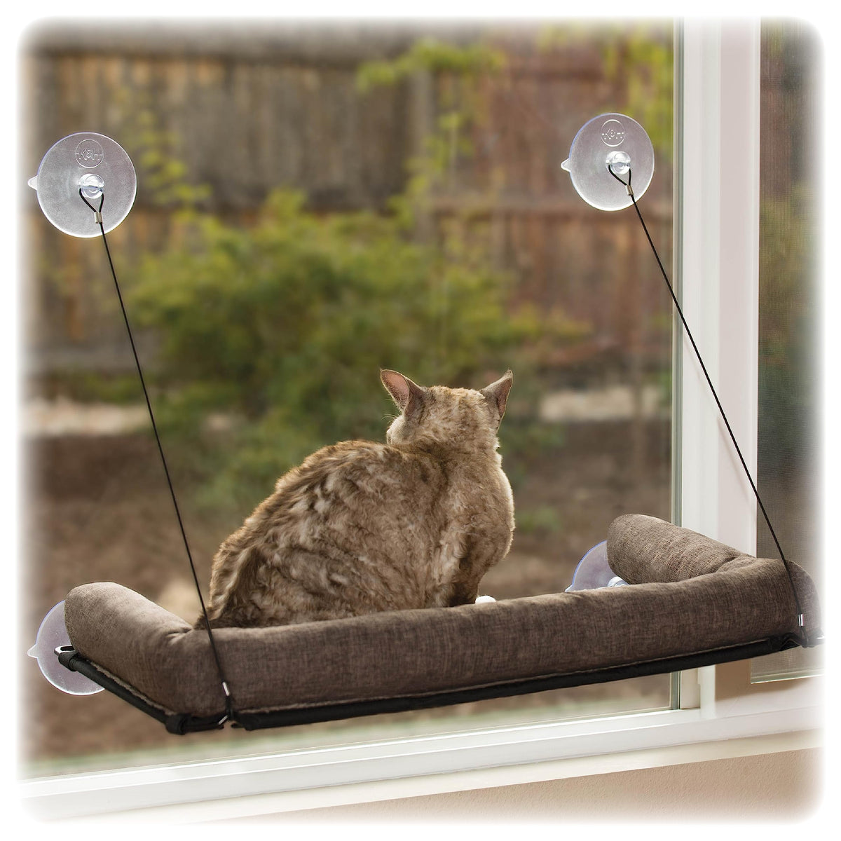 K&H hamac fenêtre face montrant stabilité et vue pour chat