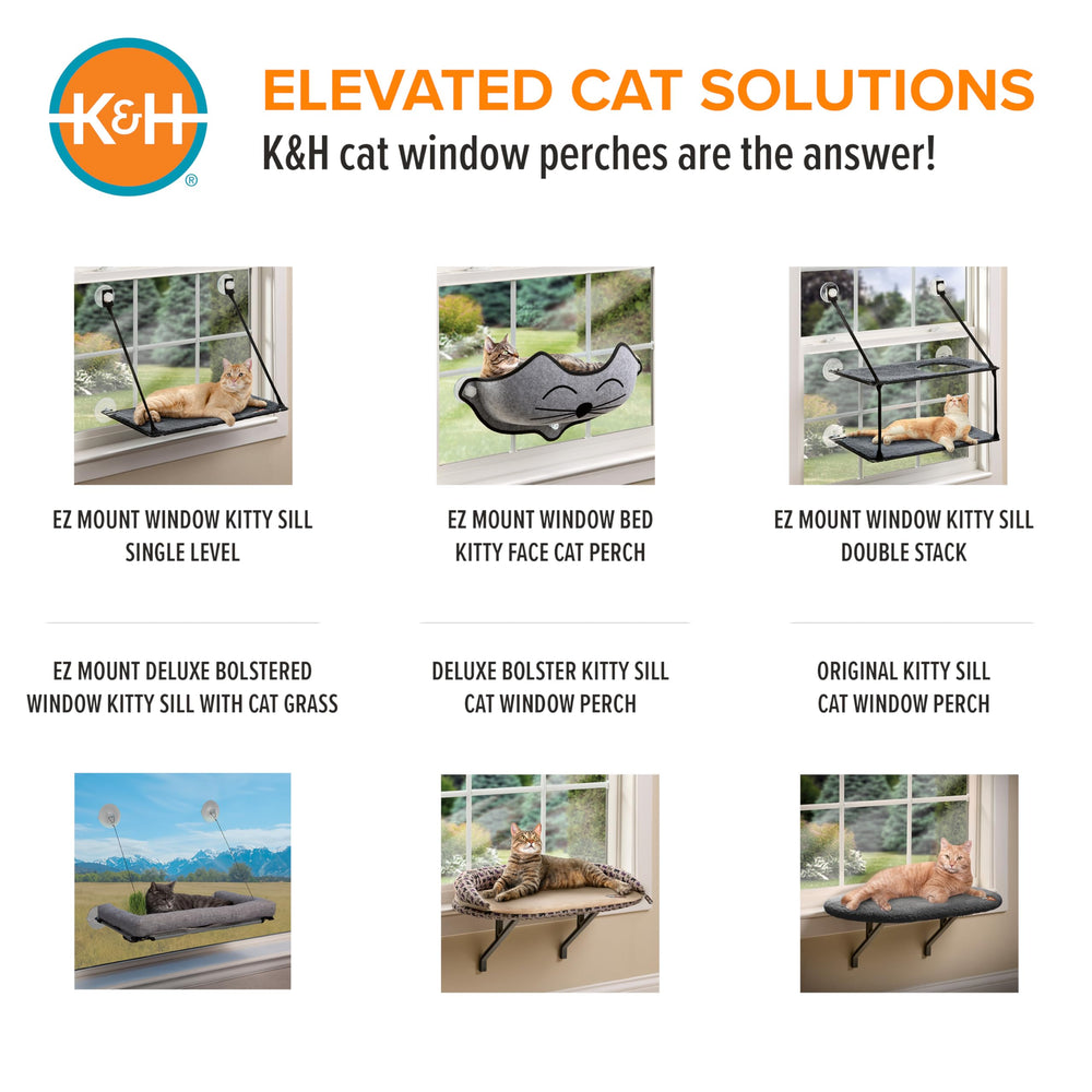 K&H comparaison taille avec chat adulte pour visualiser proportion