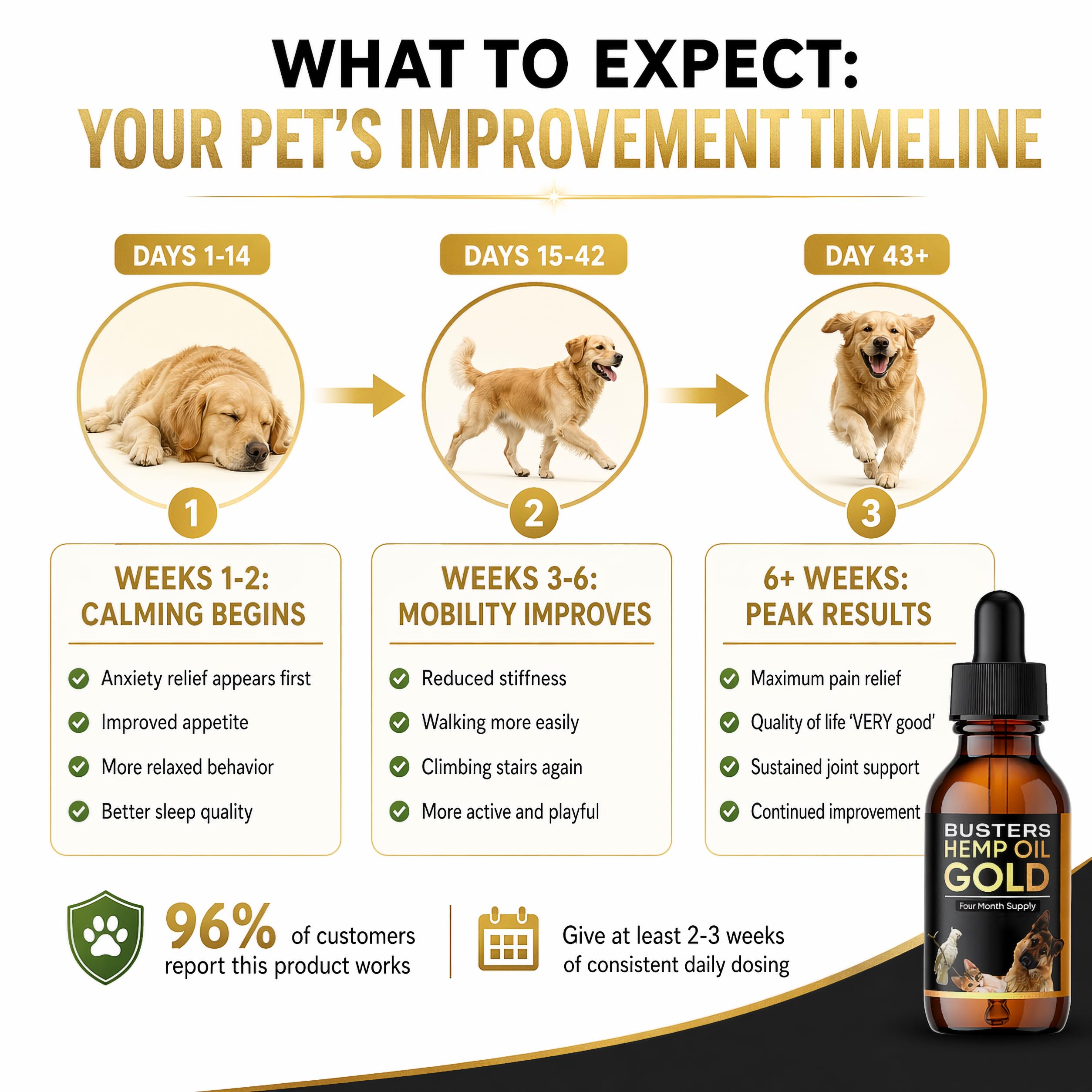 K2xLabs chien calme en voiture bénéfice anti-stress