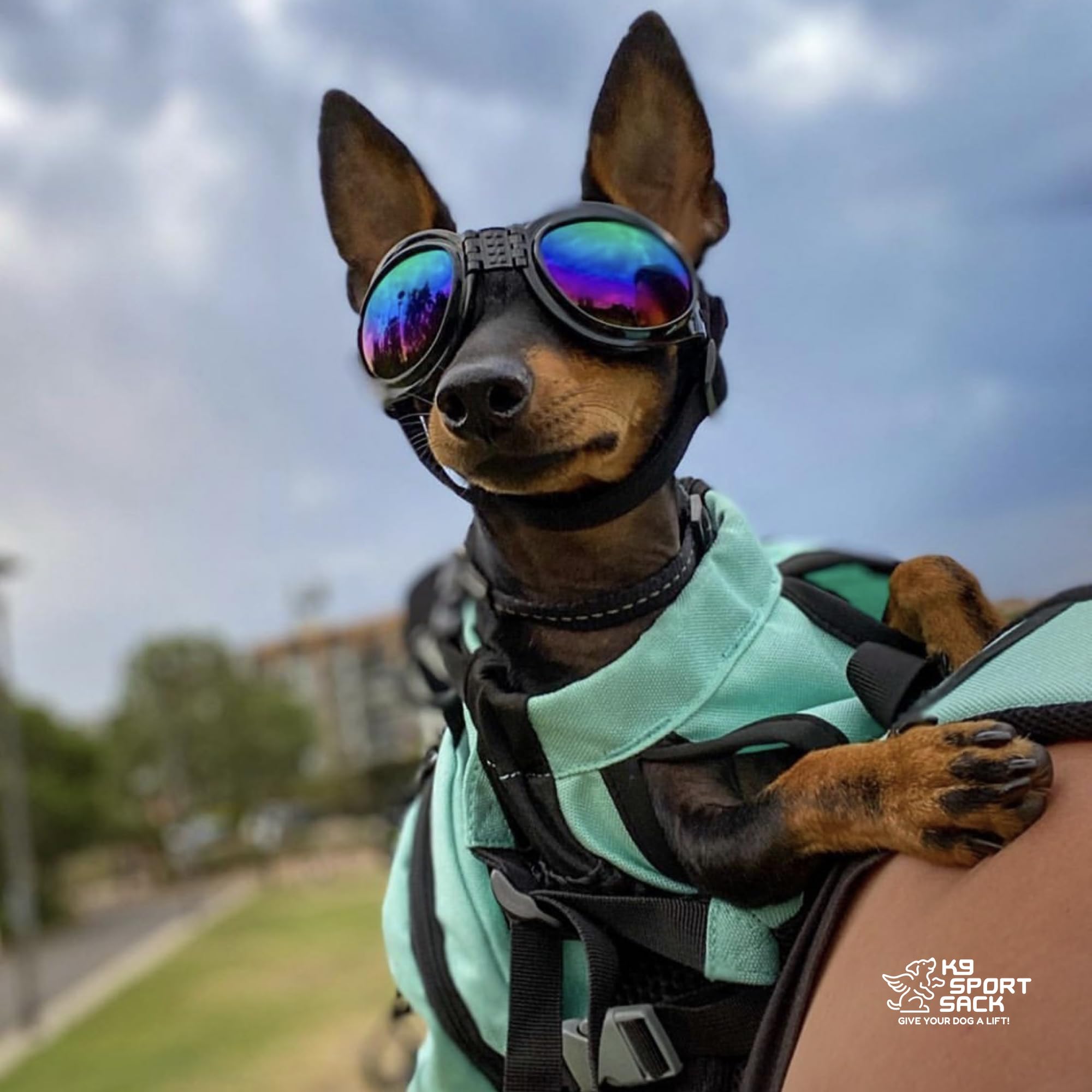 K9 Sport Sack en utilisation randonnée avec chien stable et propriétaire à l'aise