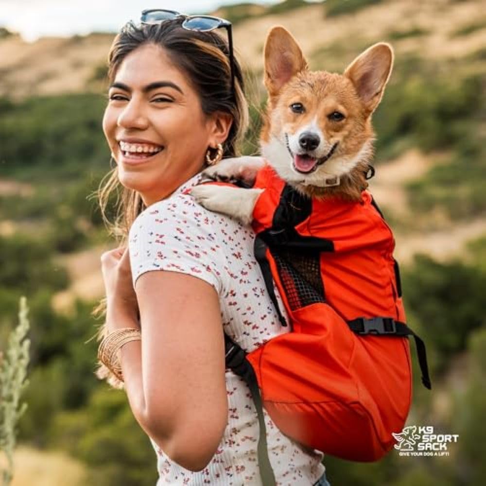 K9 Sport Sack Trainer comparaison taille avec chien pour évaluer l'ajustement