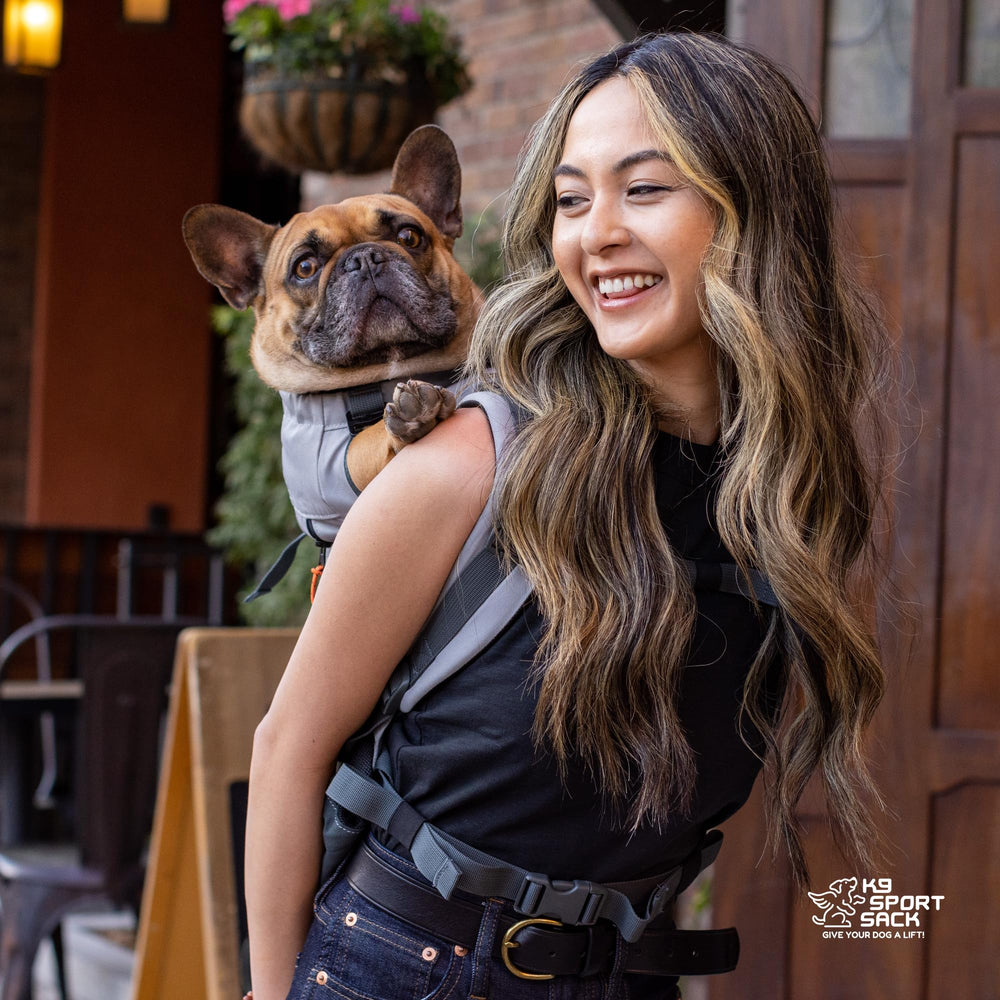 K9 Sport Sack comparaison taille avec chien pour vérifier l'ajustement