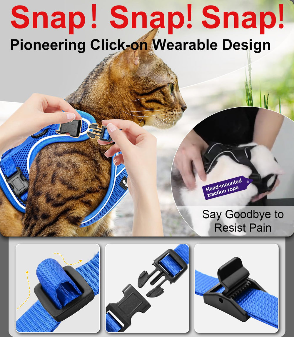 Kaazylab harnais porté par chat pour promenade contrôlée