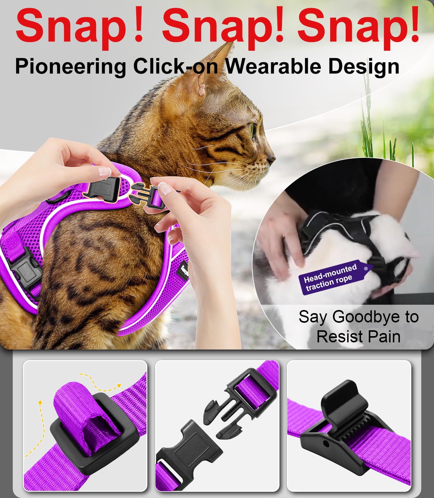 Kaazylab harnais porté par chat lors d'une promenade, sécurité en extérieur